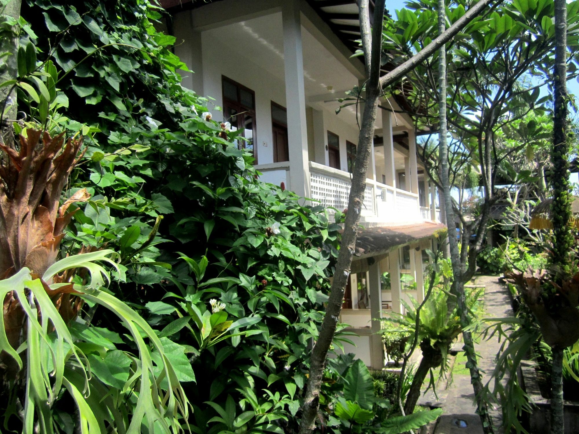 Casa Ganesha Hotel Ubud Exterior photo